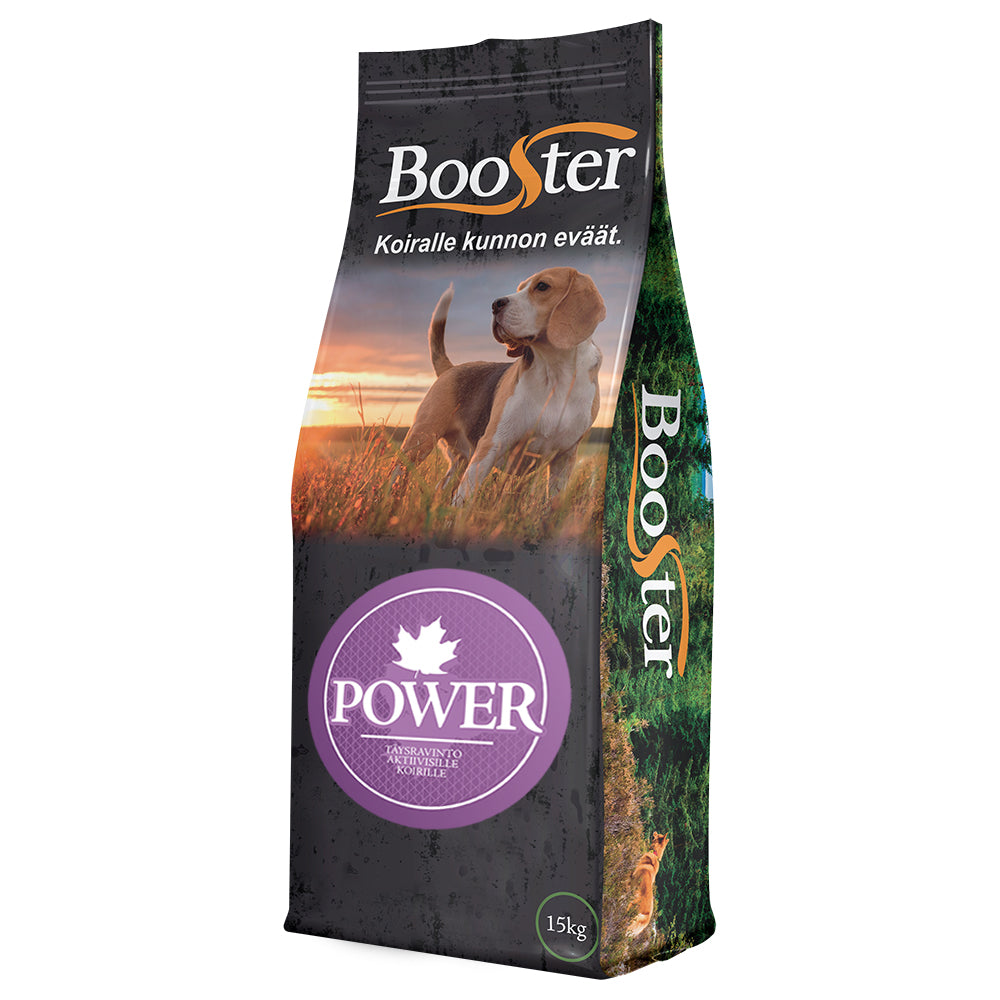 Booster Power